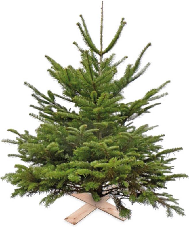 Warentuin Super Actie Kerstboom Nordman Gezaagd 125 150 cm Natuurlijk