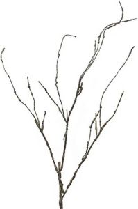Warentuin Wood Twig Cordata 95 cm kunsttak Nova Nature