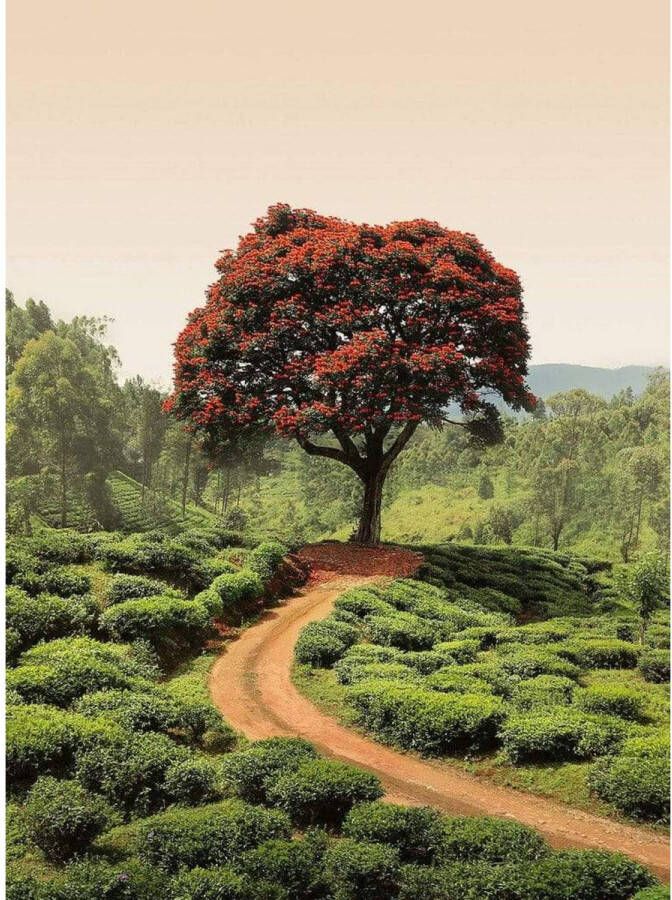 Wizard+Genius Red Tree And Hills In Sri Lanka Vlies Fotobehang 192x260cm 4-banen