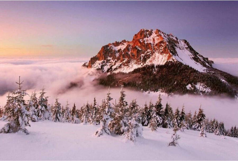 Wizard+Genius Fotobehang Snowy Mountain Peak 384x260cm Vliesbehang
