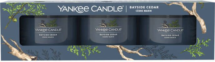 Yankee Candle geurkaars Bayside Cedar (set van 3)