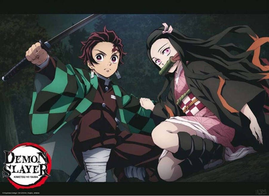 Yourdecoration ABYstyle Demon Slayer Tanjiro And Nezuko Fight Position Poster 52x38cm