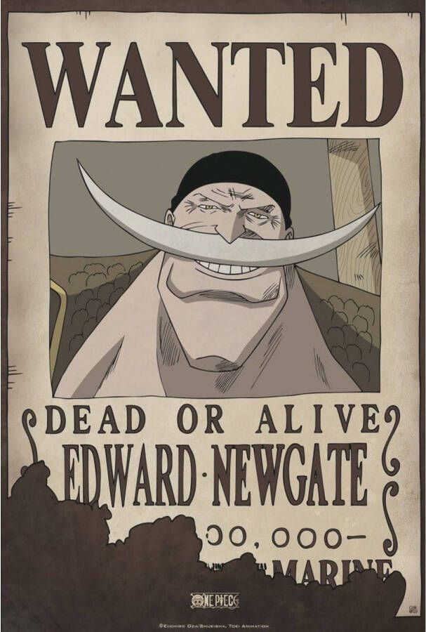 Yourdecoration ABYstyle One Piece Wanted Edward Newgate Poster 35x52cm