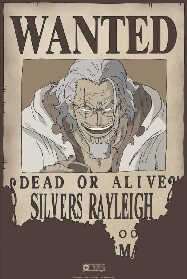 Yourdecoration ABYstyle One Piece Wanted Rayleigh Poster 35x52cm