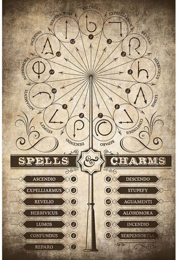 Yourdecoration Grupo Erik Harry Potter Spells and Charms Poster 61x91 5cm