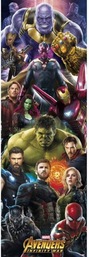 Yourdecoration Grupo Erik Marvel Avengers Infinity War Poster 53x158cm