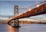 Komar Fotobehang Bay Bridge 368x254 cm (breedte x hoogte) inclusief pasta (set) - Thumbnail 1