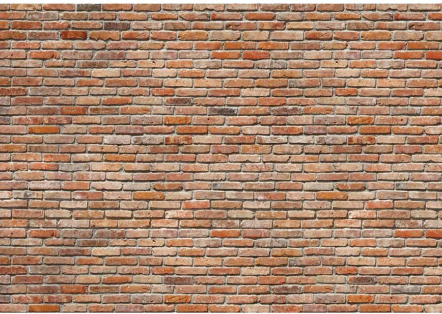 Komar Fotobehang Exposed Brick Wall 368x254 cm 8-741