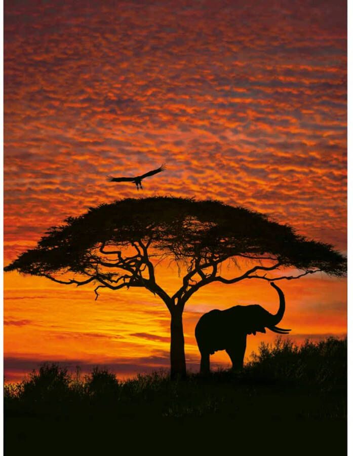 Komar Fotobehang National Geographic African Sunset 194x270 cm 4-501