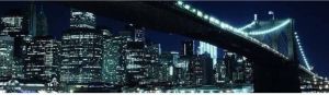 Papermoon Fotobehang Brooklyn Bridge panorama Vlies 2 banen 350 x 100 cm (2 stuks)