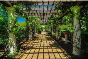 Yourdecoration Papermoon Looppad in Tuin Vlies Fotobehang 350x260cm 7-banen
