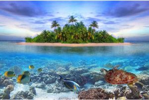 Papermoon Fotobehang Marine Life Maldives Vlies 5 banen 250 x 180 cm (5 stuks)