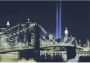 Yourdecoration Papermoon New York By Night Vlies Fotobehang 350x260cm 7-banen - Thumbnail 1
