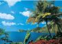 Yourdecoration Papermoon St. Lucia Vlies Fotobehang 350x260cm 7-banen - Thumbnail 1