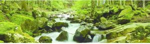 Papermoon Fotobehang Soft Water stream panorama Vlies 2 banen 350 x 100 cm (2 stuks)