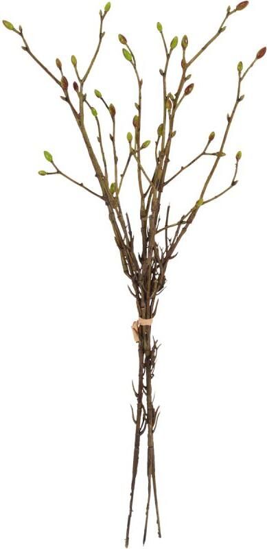 Budget Home Store Kunsttak Tilia