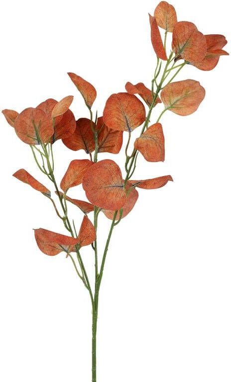 Budget Home Store Kunstblad Eucalyptus bruin