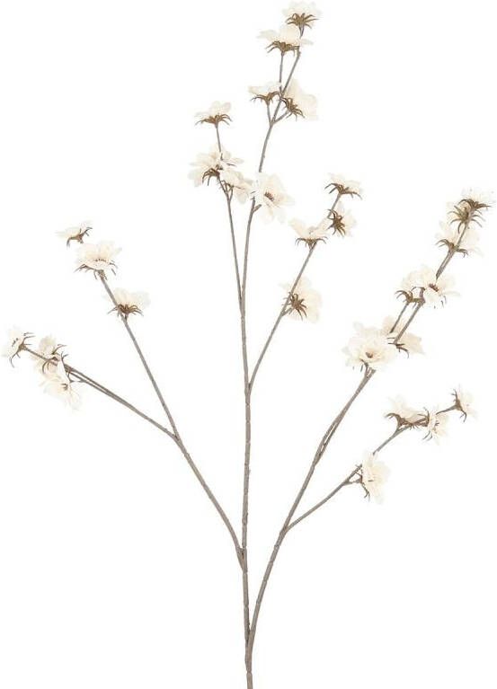 Budget Home Store Kunstbloem Zinnia creme