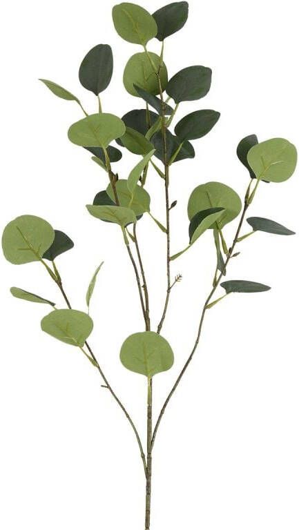 Budget Home Store Kunsttak Eucalyptus