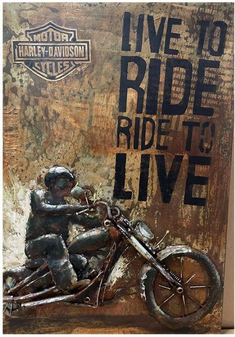 3D schilderij Gave Special Motor Ride to Live 902 - Foto 1