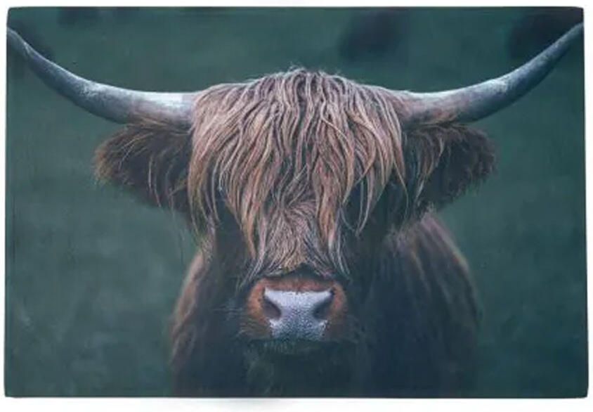 B Living Deurmat Schotse Hooglander donker 75x50