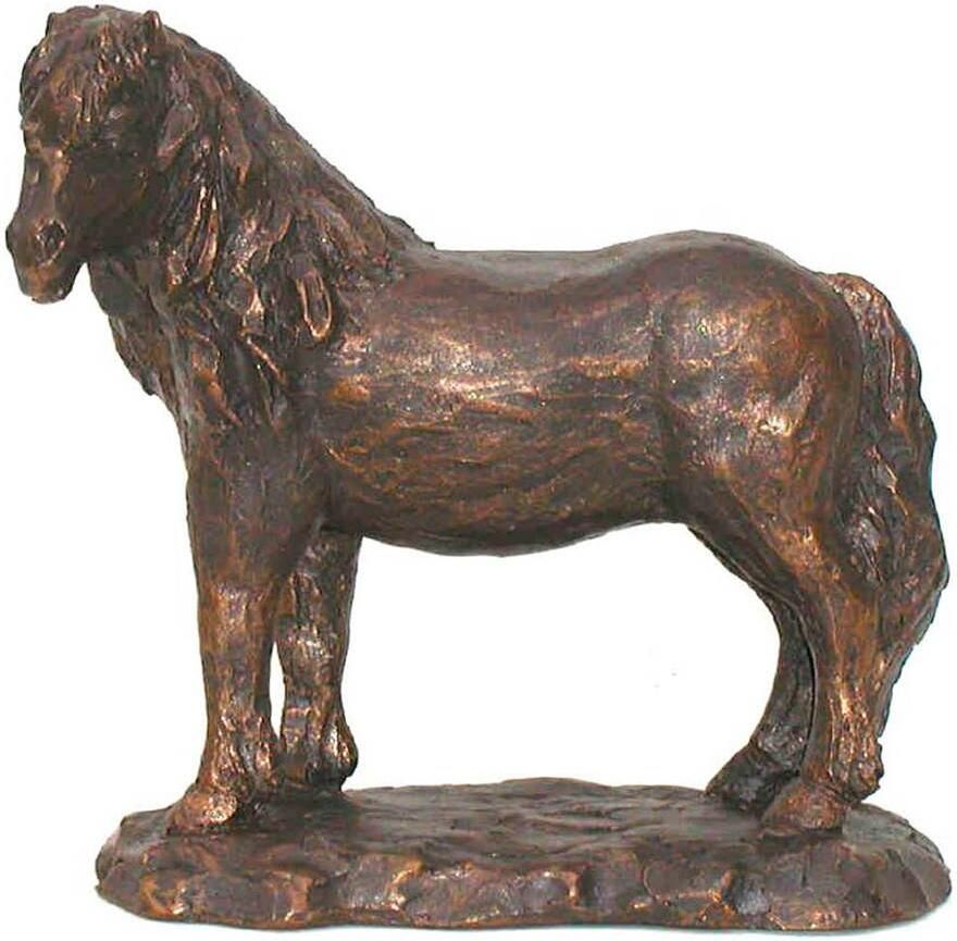 Beeld Pony kijkt naar links