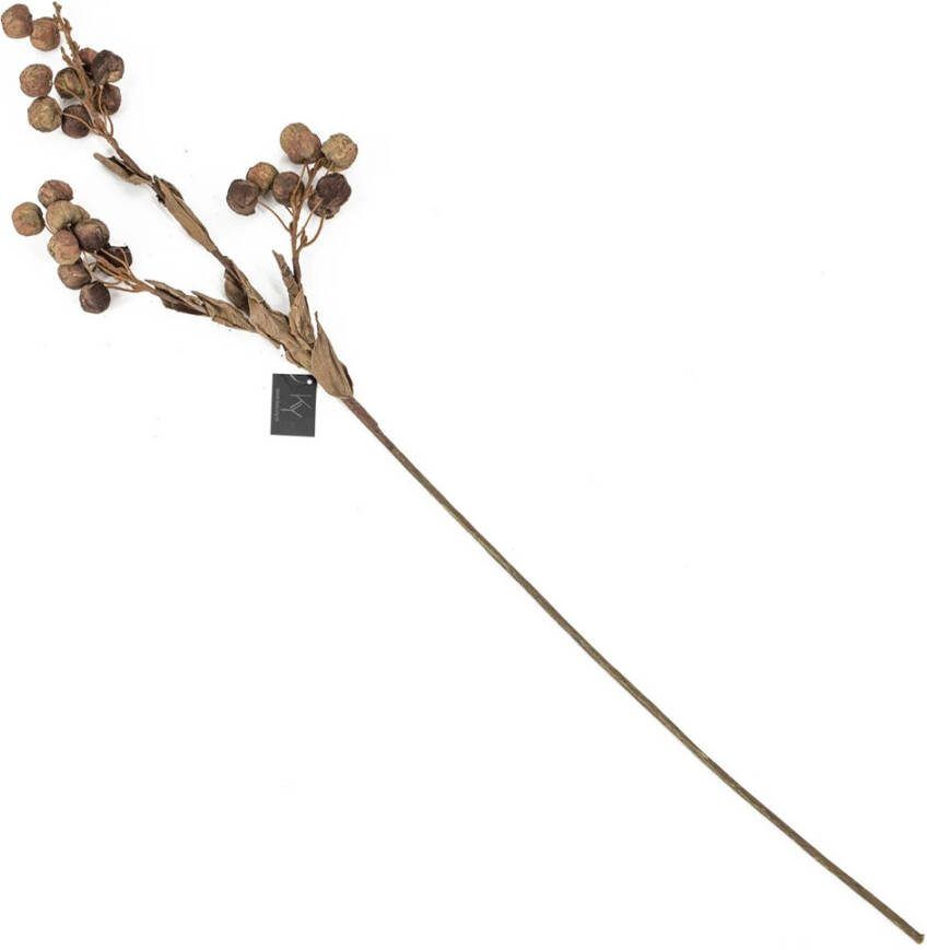 Bessentak naturel - Foto 1