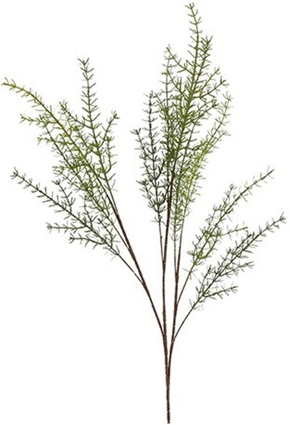 Countryfield Kunstblad asparagus Moogri Groen L