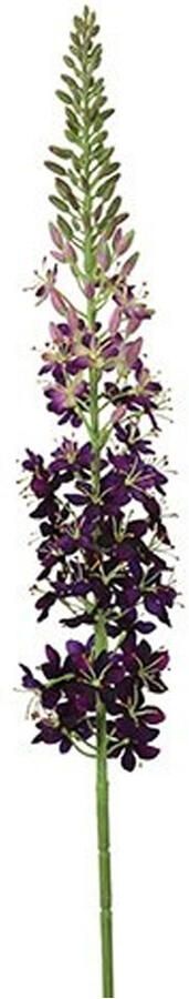 Countryfield Kunstbloem Eremurus Paars S