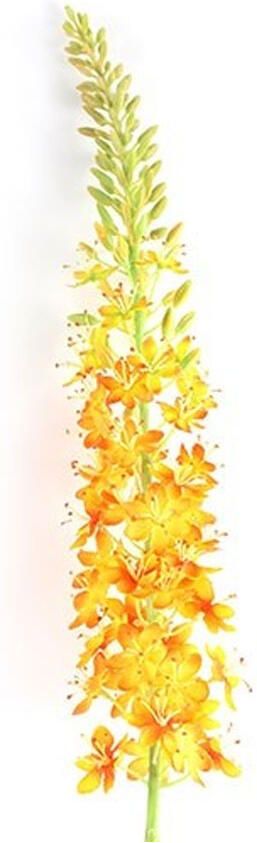 Countryfield Kunstbloem Lythrum Oranje S