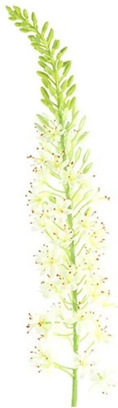 Countryfield Kunstbloem Lythrum Wit S