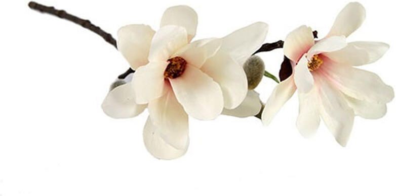 Countryfield Kunstbloem Magnolia Chayca Creme S