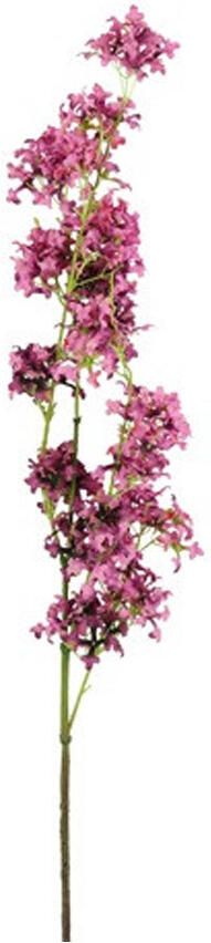 Countryfield Kunstbloem Matthiola Donker Roze