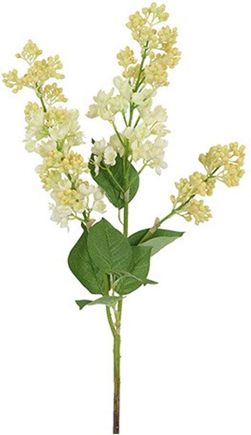 Countryfield Kunstbloem Seringa groen