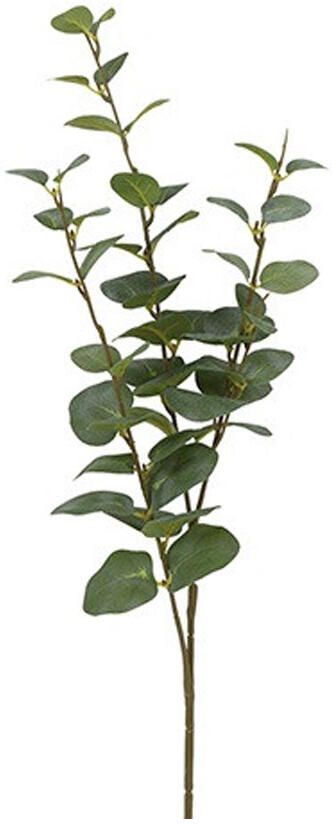 Kunstblad eucalyptus Cinerea groen S