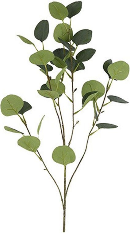 Kunstblad Eucalyptus
