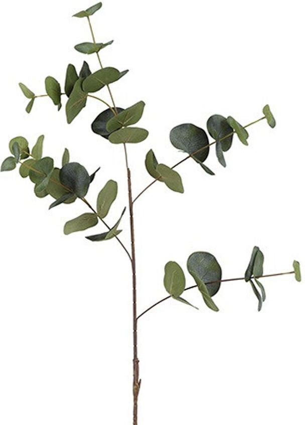 Kunstbloem Eucalyptus Cinerea groen L