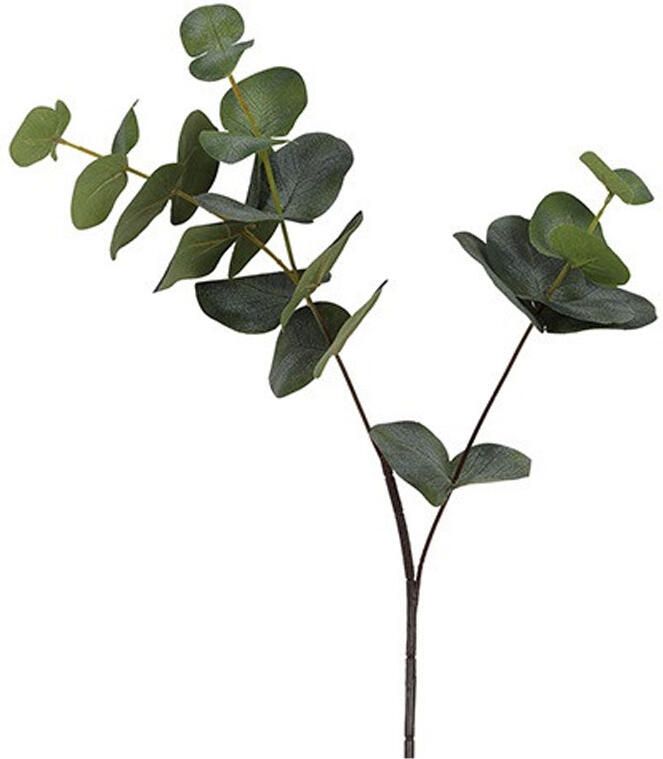 Kunstbloem Eucalyptus Cinerea groen S