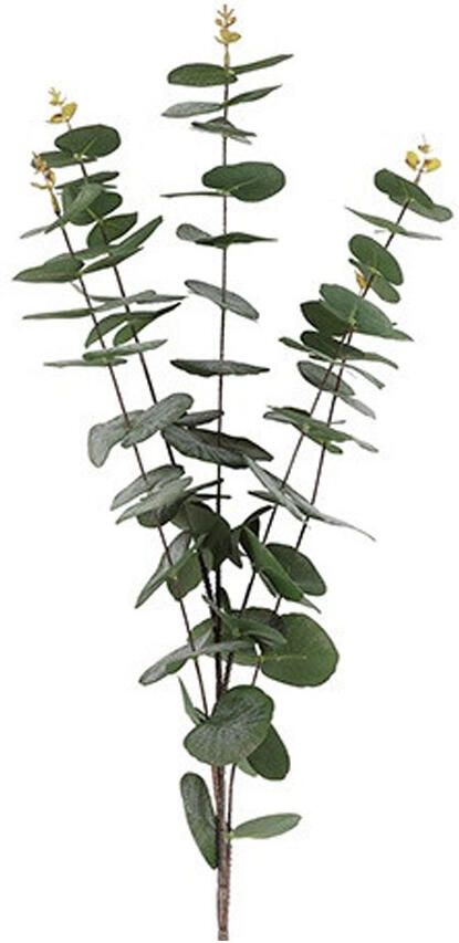 Kunsttak Eucalypthus Groen