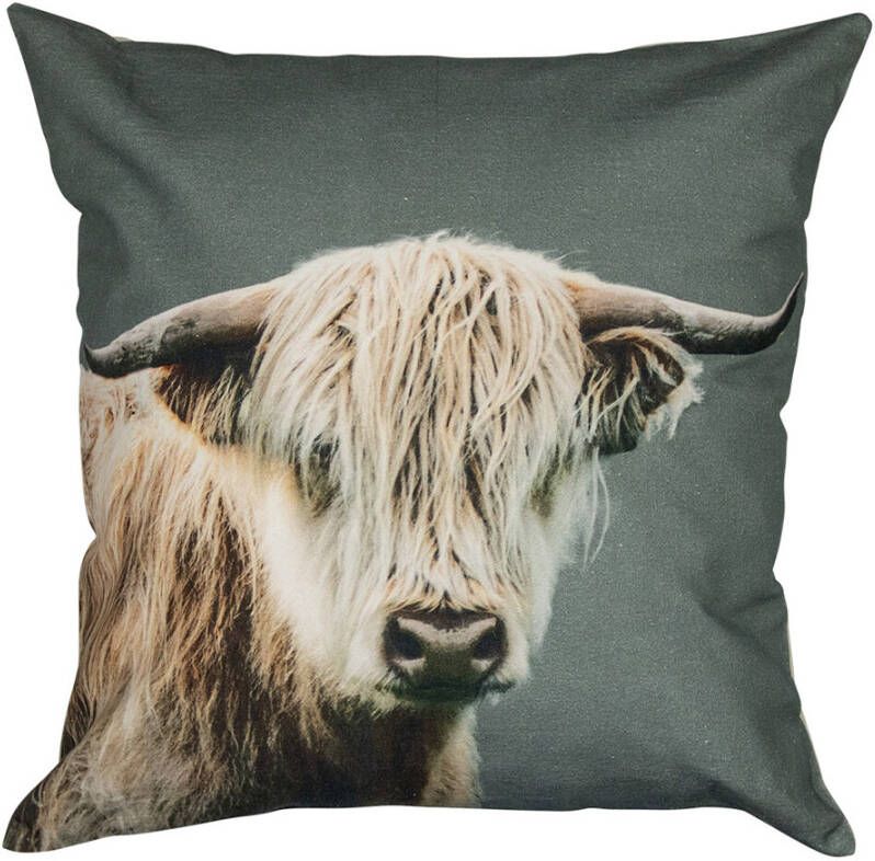 Kussen schotse hooglanders 50x50 - Foto 1