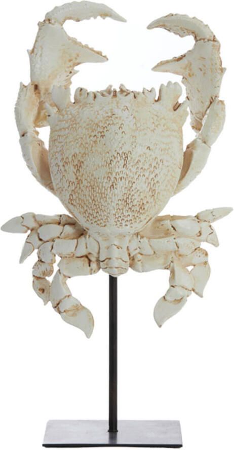 Light & Living Ornament op voet Crab gebroken wit