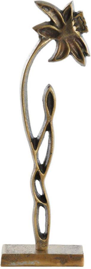 Light & Living Ornament op voet Daffodil antiek brons L