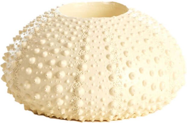 Light & Living Theelichthouder Sea Urchin Creme