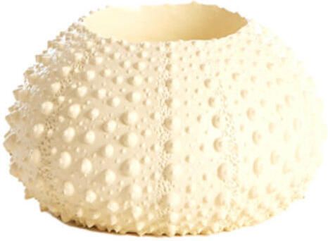 Light & Living Theelichthouder Sea Urchin Creme S