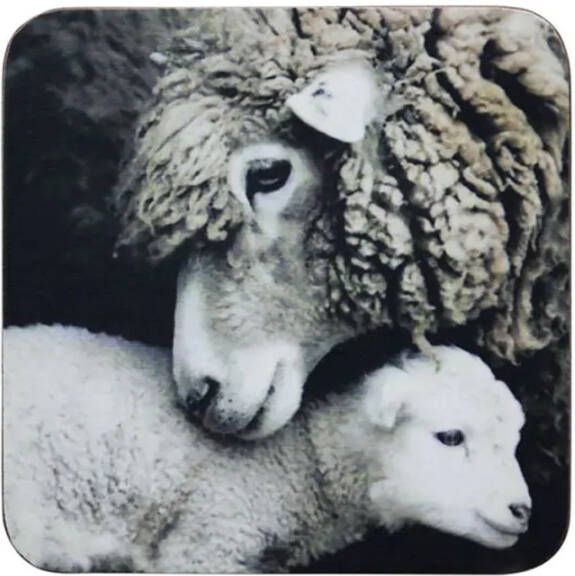 Onderzetter Schaap en Lam