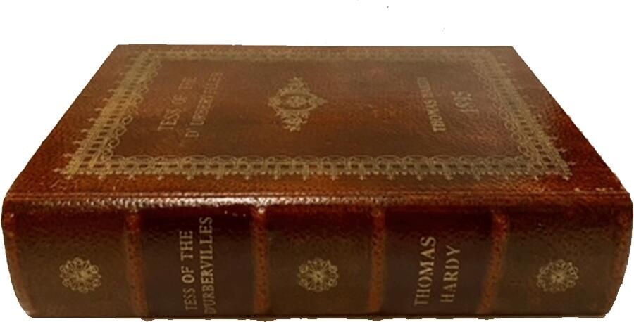 Opbergboek Tess of the Durbervilles M