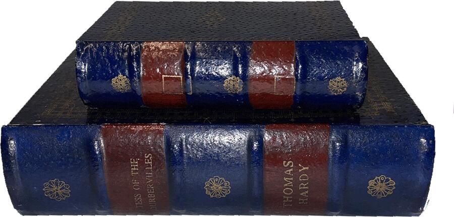 Opbergboek Tess of the Durbervilles s