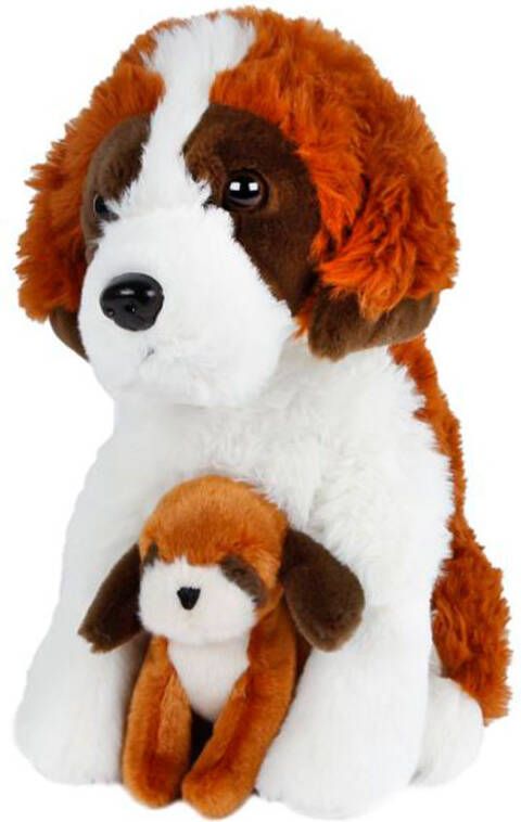 Take me home hond met pup