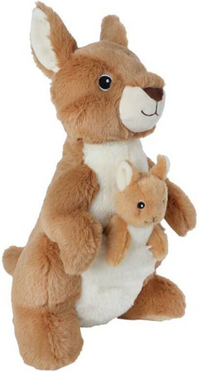 Take me home Kangaroo met baby
