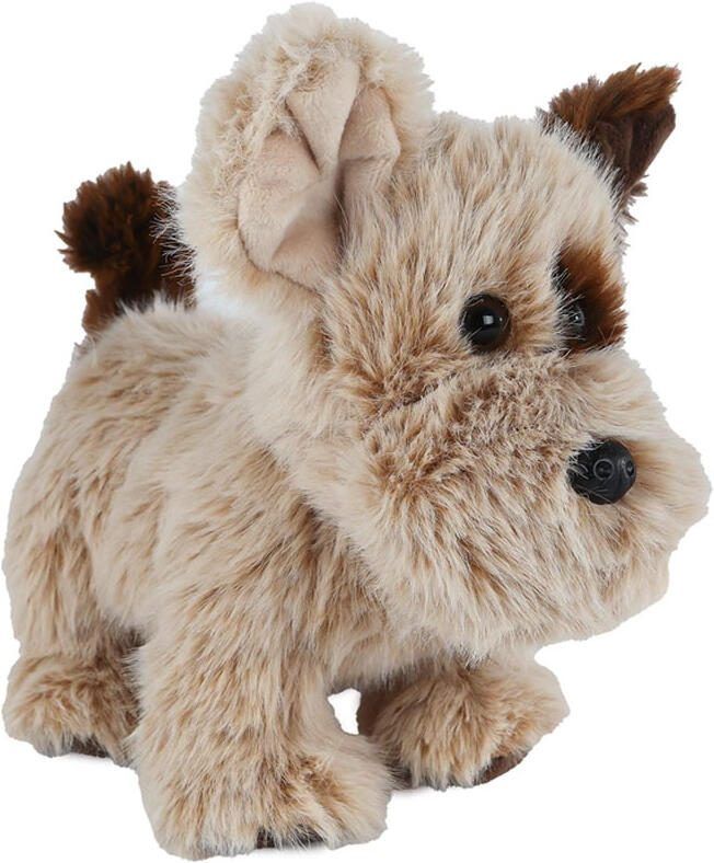 Take me home knuffel hond 22cm